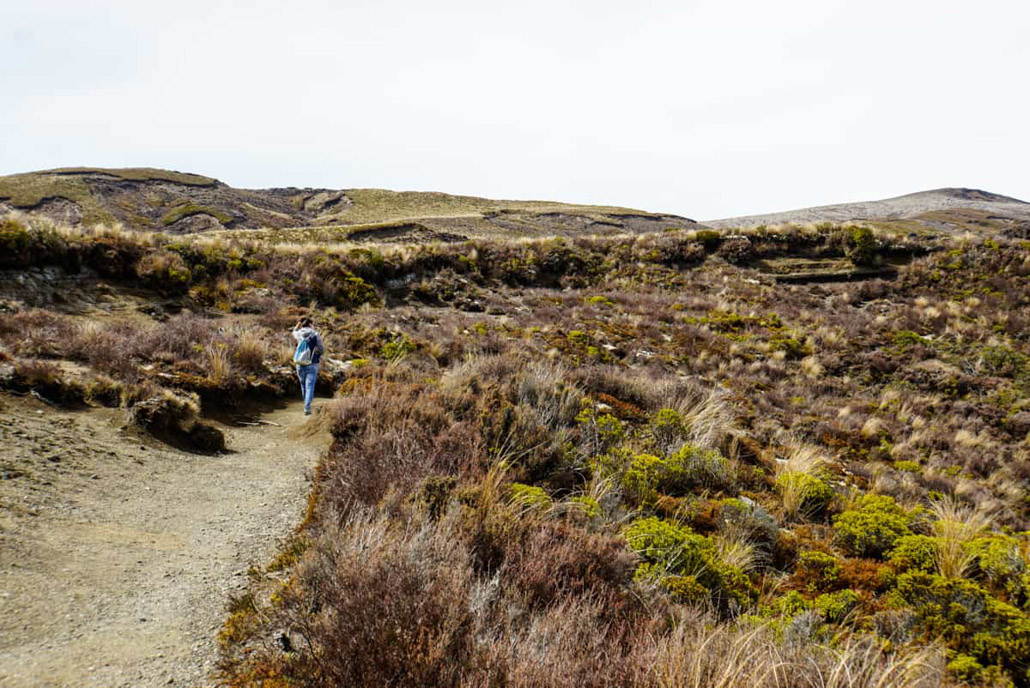 Tongariro Nationalpark Neuseeland 17 17 - Viel-Unterwegs.de