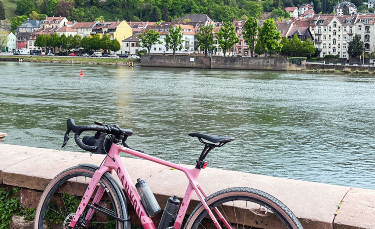 Neckartal Radweg Heidelberg Schloss