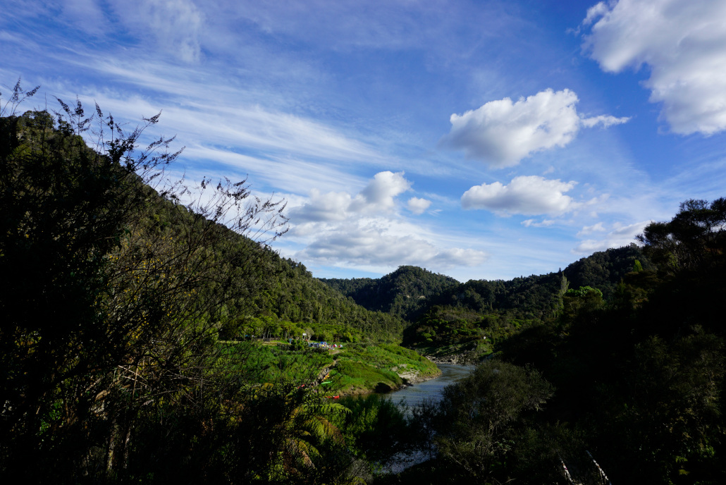 Ausblick auf dem Whanganui River