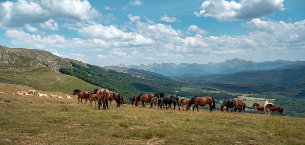 Navarra Spanien Pyrenäen