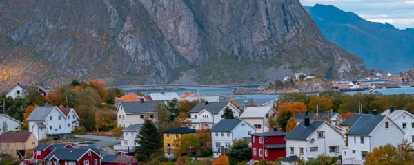 Reine auf den Loften