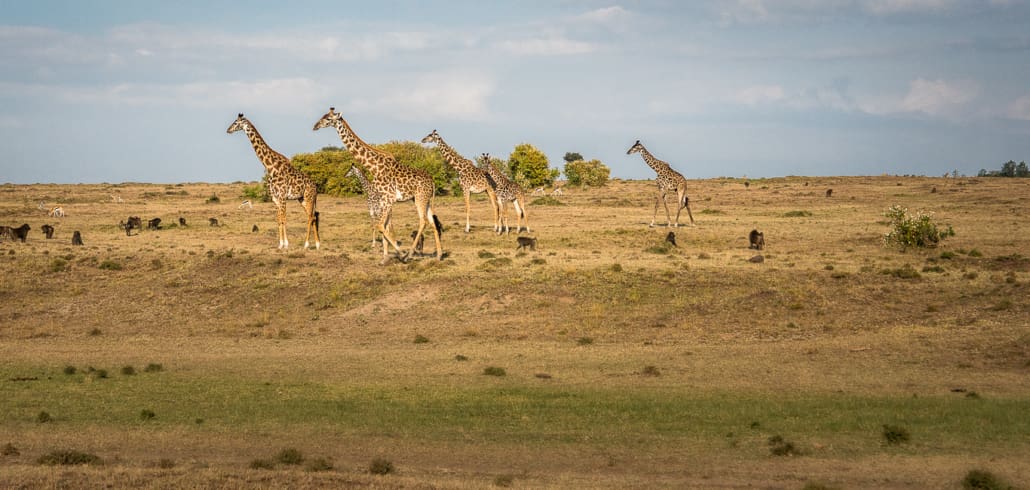 Kenia Reiseblog Reiseberichte