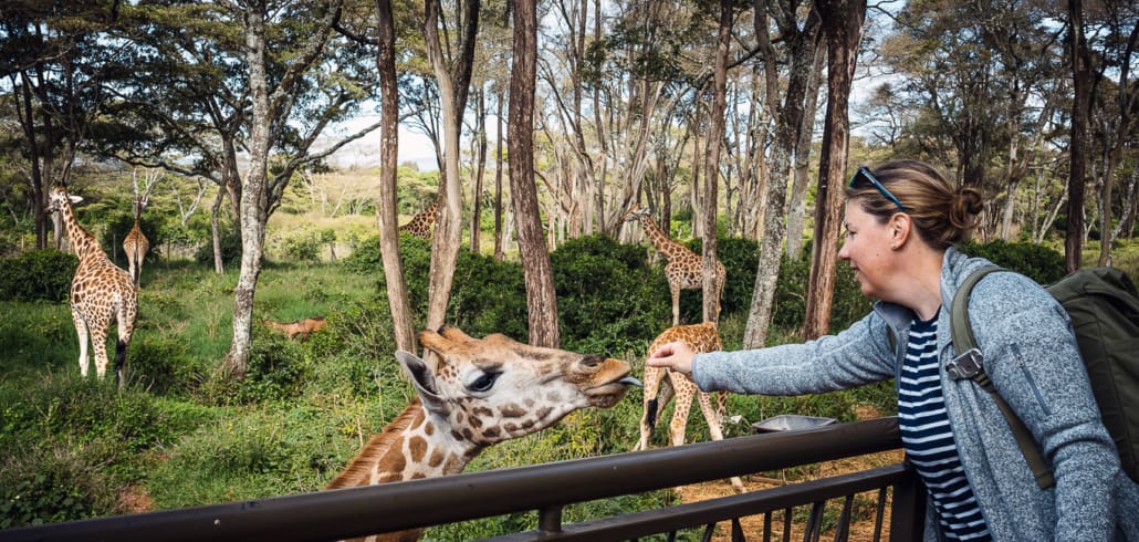 Nairobi Sehenswürdigkeiten Kenia 1 Tag