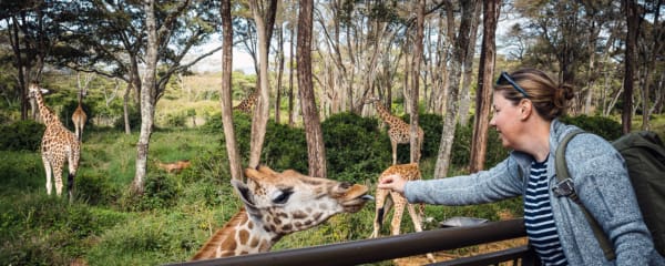 Nairobi Sehenswürdigkeiten Kenia 1 Tag