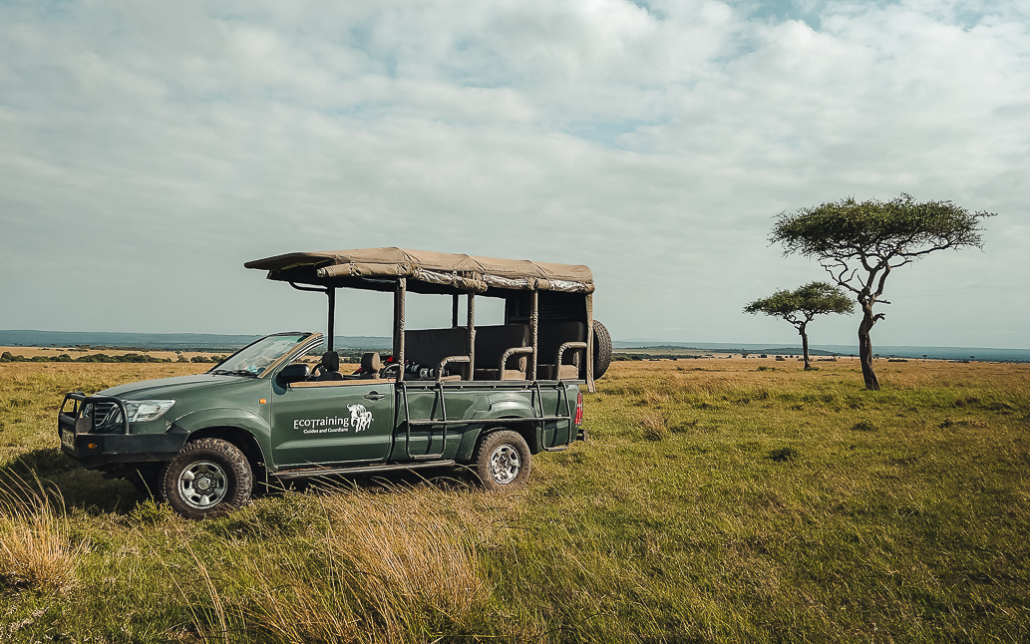 14 Tage Ecoquest Schnupperkurs In Kenia Mit Ecotraining: Masai Mara Erleben Und Von Den Besten Wildhütern Lernen! 69 69 - Viel-Unterwegs.de