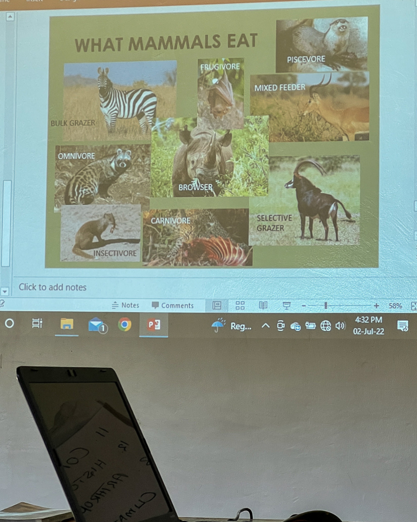 14 Tage Ecoquest Schnupperkurs In Kenia Mit Ecotraining: Masai Mara Erleben Und Von Den Besten Wildhütern Lernen! 67 67 - Viel-Unterwegs.de