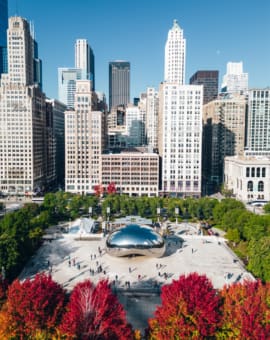 Chicago Cloud Gate Bean