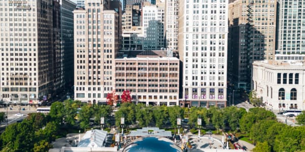 Chicago Cloud Gate Bean