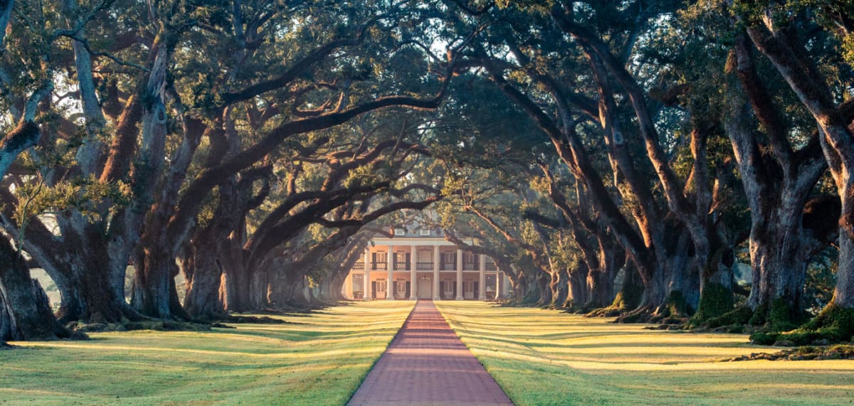 Louisiana Blog Oak Alley