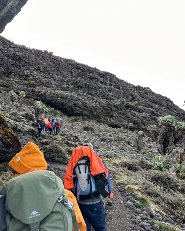 Machame Route Auf Den Kilimandscharo 123 123 - Viel-Unterwegs.de