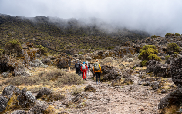 Machame Route Auf Den Kilimandscharo 97 97 - Viel-Unterwegs.de