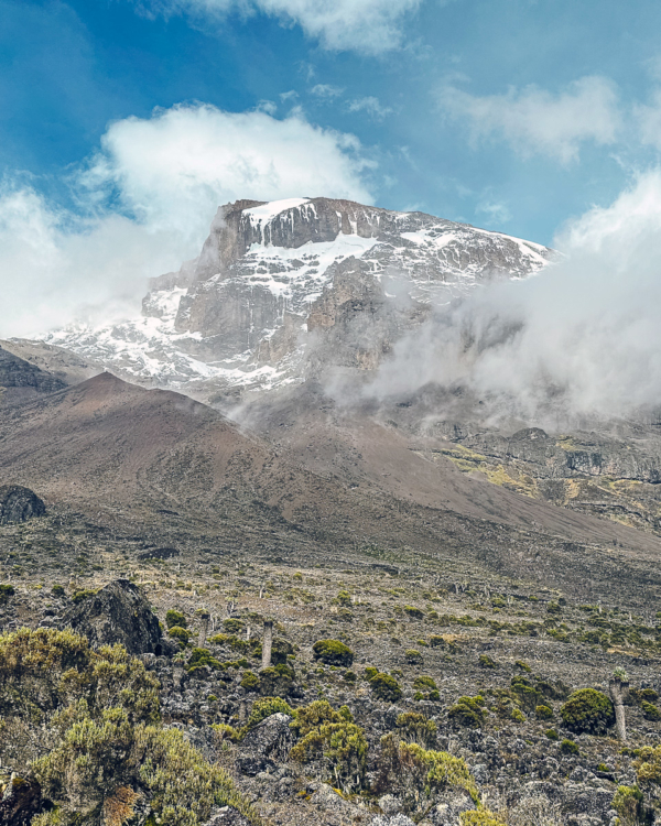 Machame Route Auf Den Kilimandscharo 117 117 - Viel-Unterwegs.de