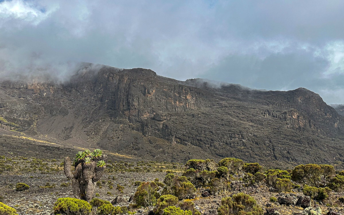 Hier gehts hinauf: Barranco Wall auf dem Weg zum Kilimandscharo