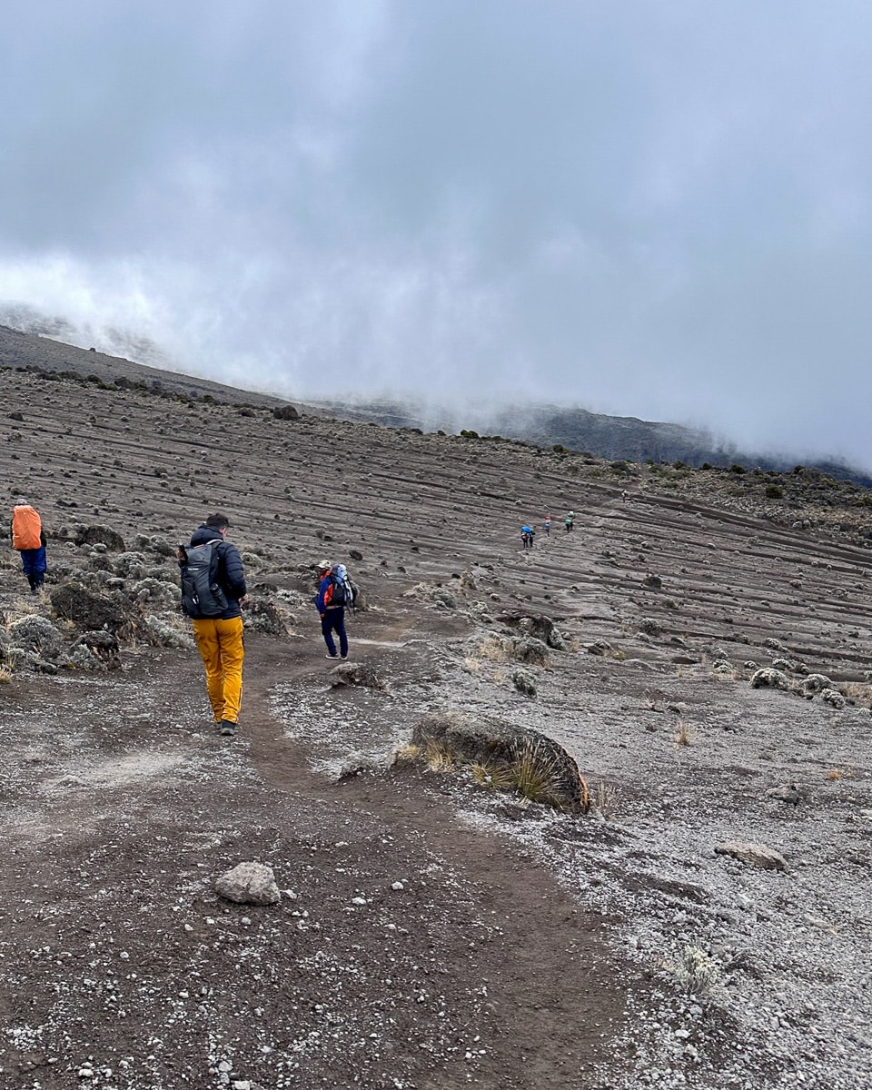 Machame Route Auf Den Kilimandscharo 129 129 - Viel-Unterwegs.de