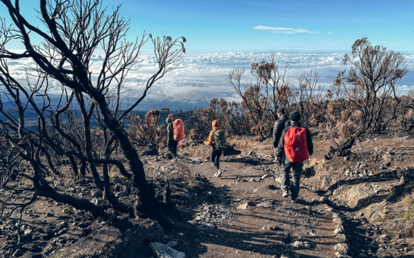 Kilimandscharo Abstieg vom High Camp