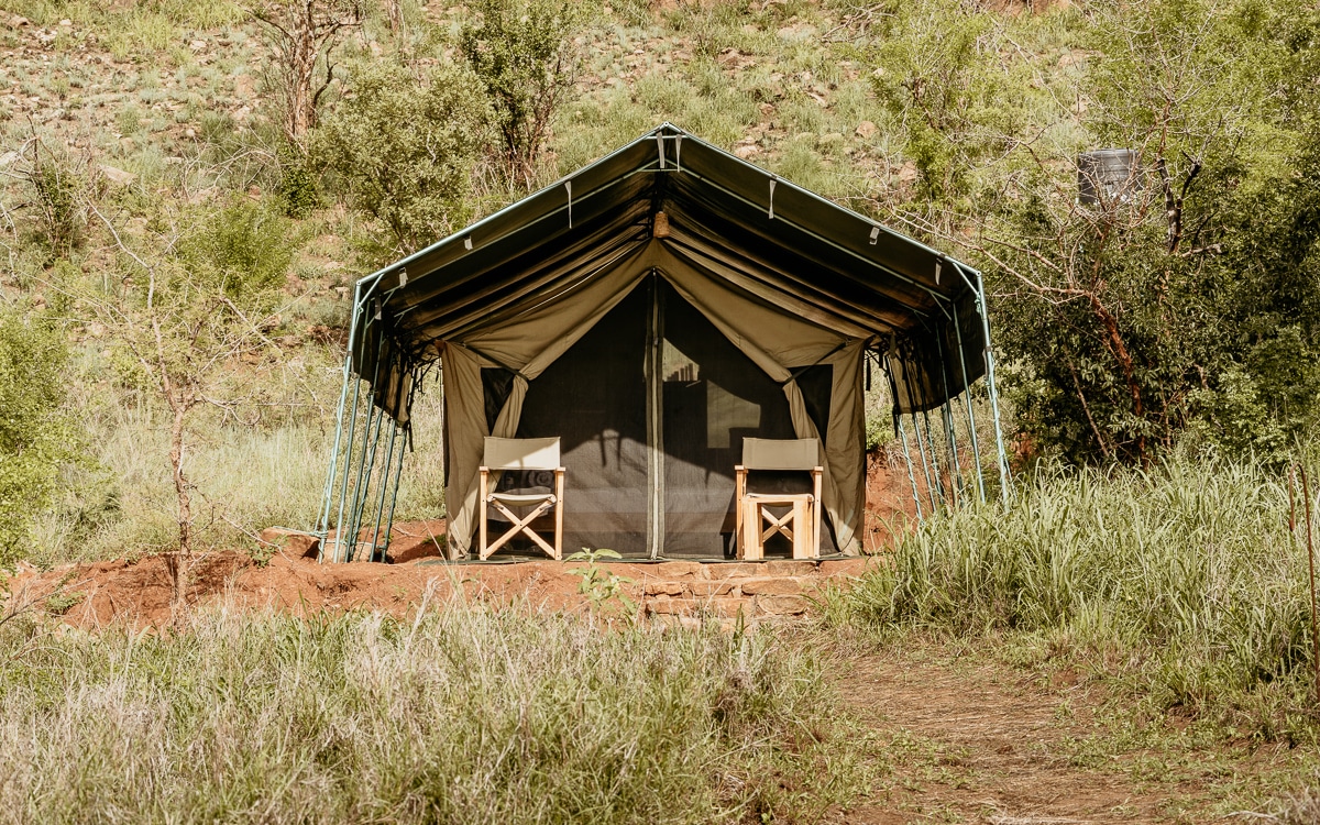 Unterkunft im Mkomazi Nationalpark: Mkomazi View Camp (im Norden Tansanias)