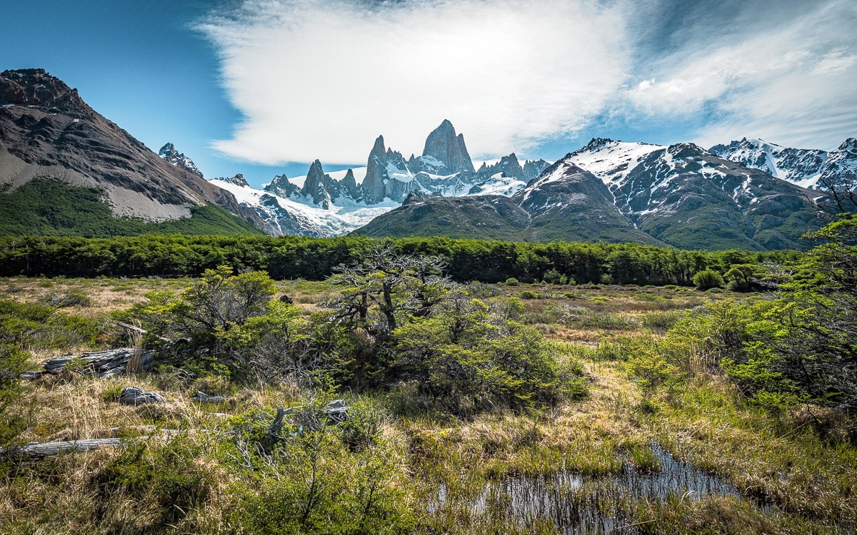 El Chaltén, Argentinien: Wanderparadies Mit Bergmassiv Fitz Roy Und Cerro Torre 16 16 - Viel-Unterwegs.de