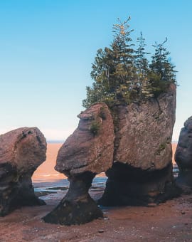 New Brunswick Kanada Sehenswürdigkeiten beim Roadtrip