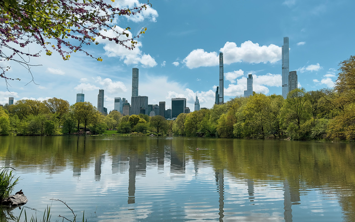 New York im April:  Central Park blüht und ist  grün