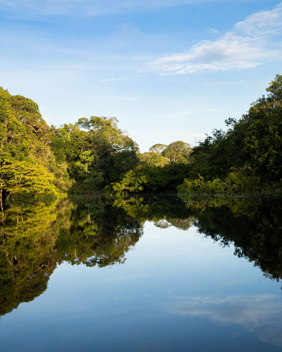 Brasilien: 6 Tage Amazonas Kreuzfahrt Mit Der Ms Jangada 197 197 - Viel-Unterwegs.de