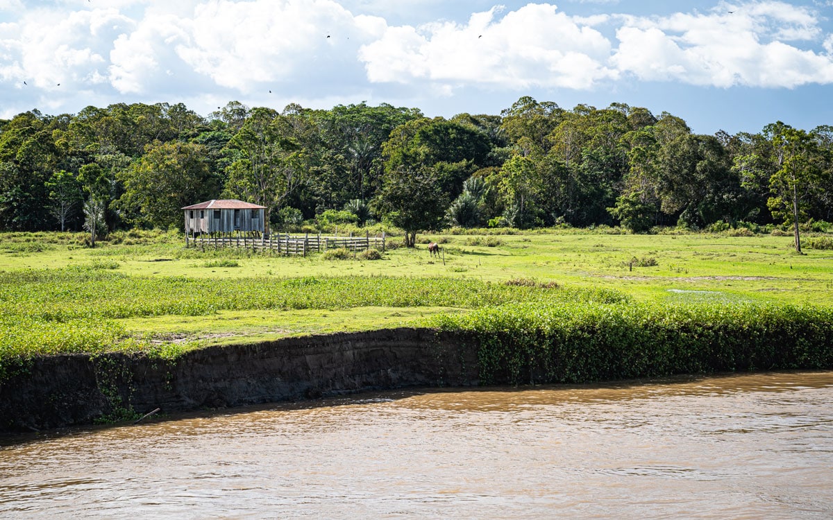 Brasilien: 6 Tage Amazonas Kreuzfahrt Mit Der Ms Jangada 170 170 - Viel-Unterwegs.de