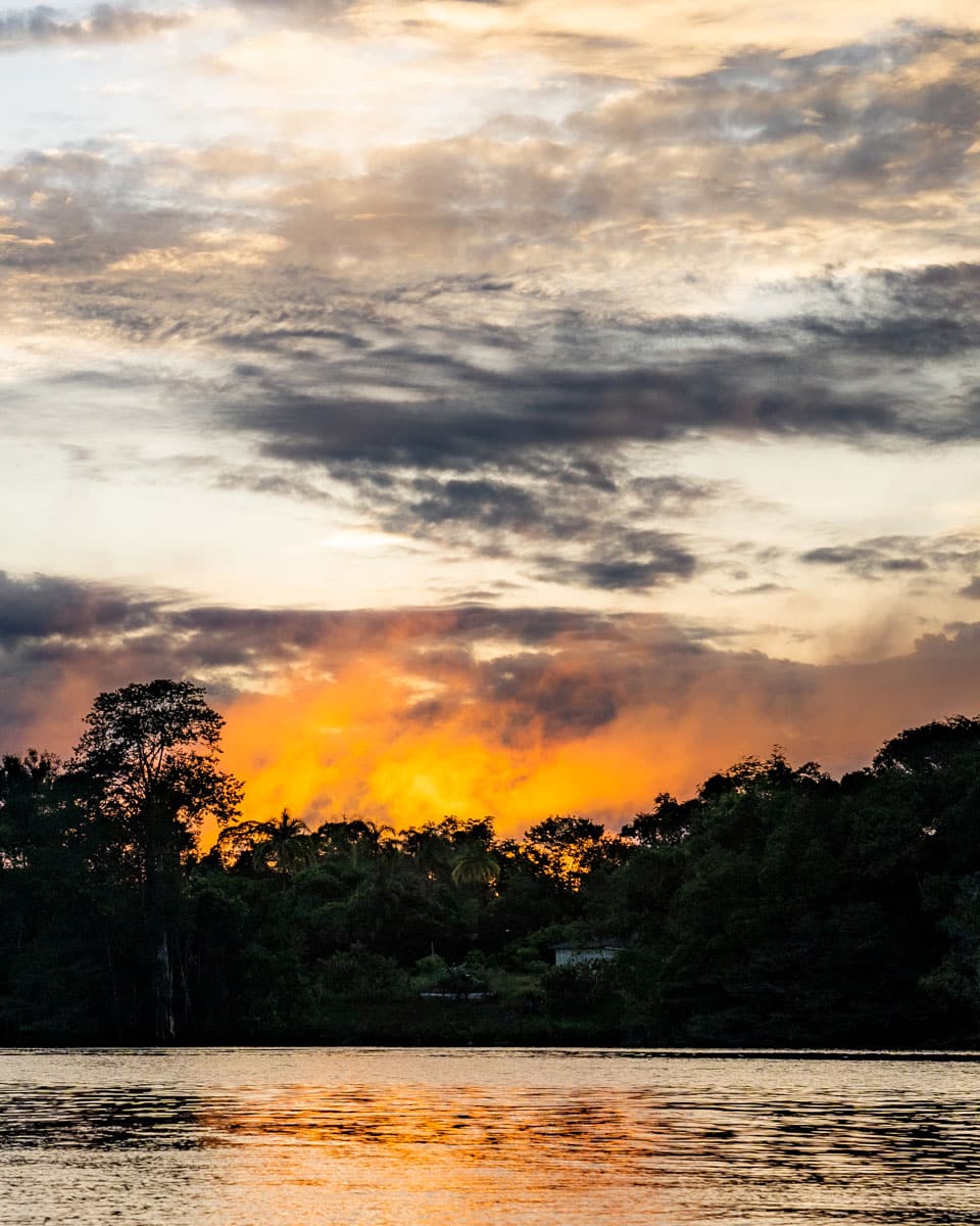 Brasilien: 6 Tage Amazonas Kreuzfahrt Mit Der Ms Jangada 195 195 - Viel-Unterwegs.de