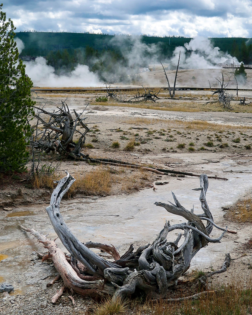 Sehenswürdigkeiten In Wyoming: Yellowstone Nationalpark &Amp; Grand-Teton Nationalpark 24 24 - Viel-Unterwegs.de