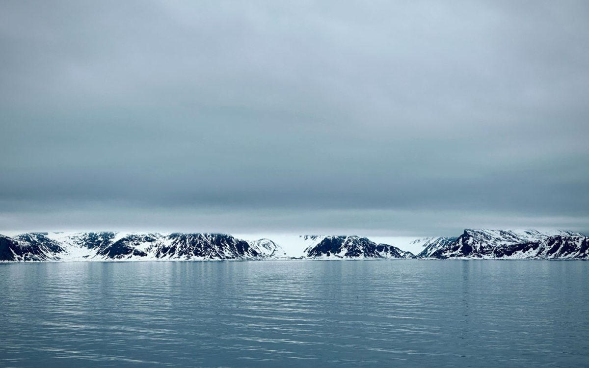 Kreuzfahrt Spitzbergen: Erfahrungen Auf Der Ocean Albatros In Der Arktis 158 158 - Viel-Unterwegs.de
