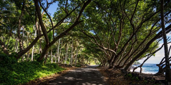 Die schönsten Roadtrips der Welt: Hawaii