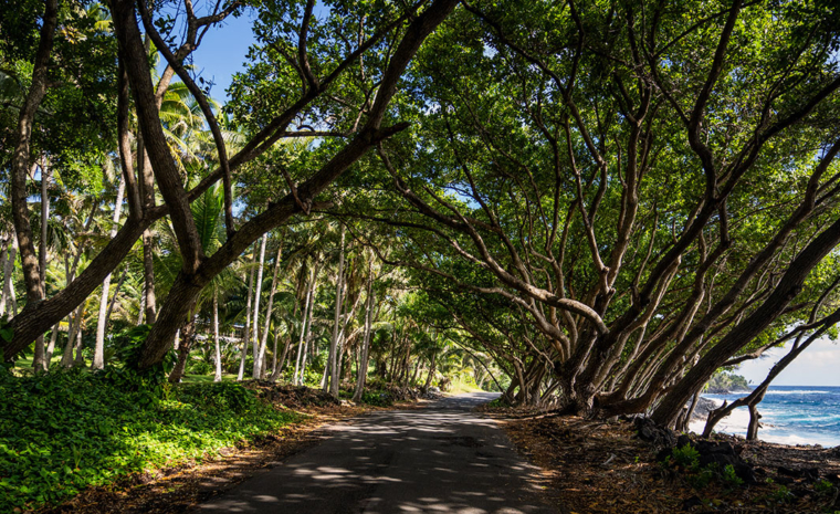 Die schönsten Roadtrips der Welt: Hawaii