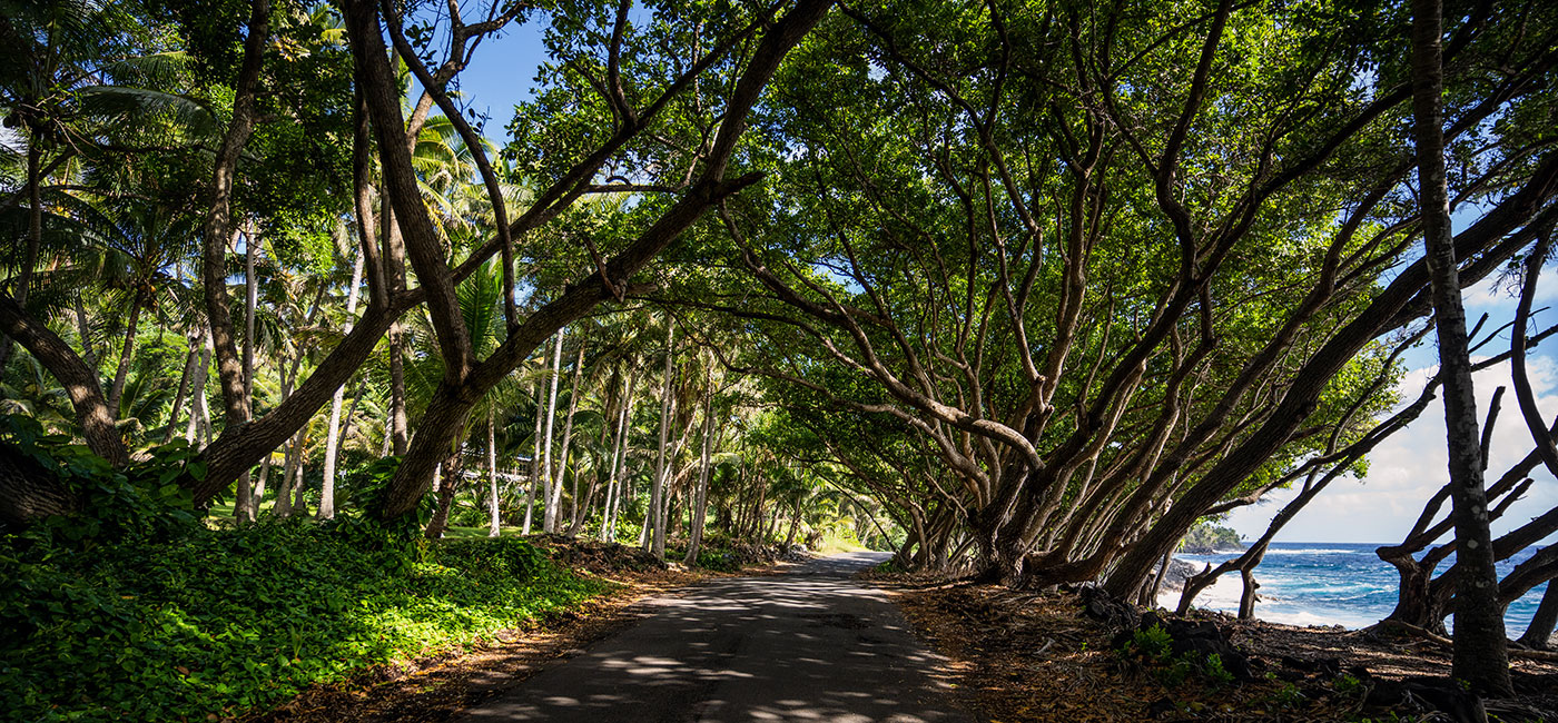 Die schönsten Roadtrips der Welt: Hawaii