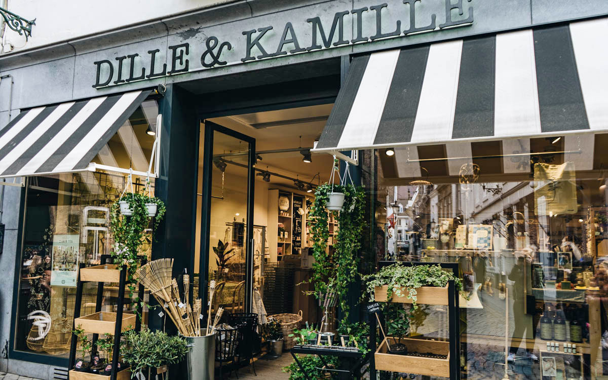 Dille Kamille in Maastricht