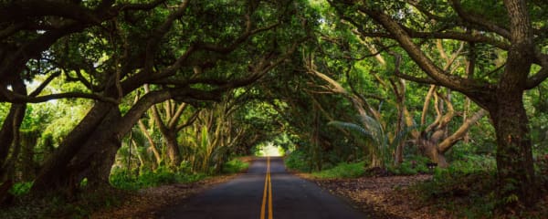 Road to Hana Roadtrip auf Maui Hawaii, Sehenswürdigkeit