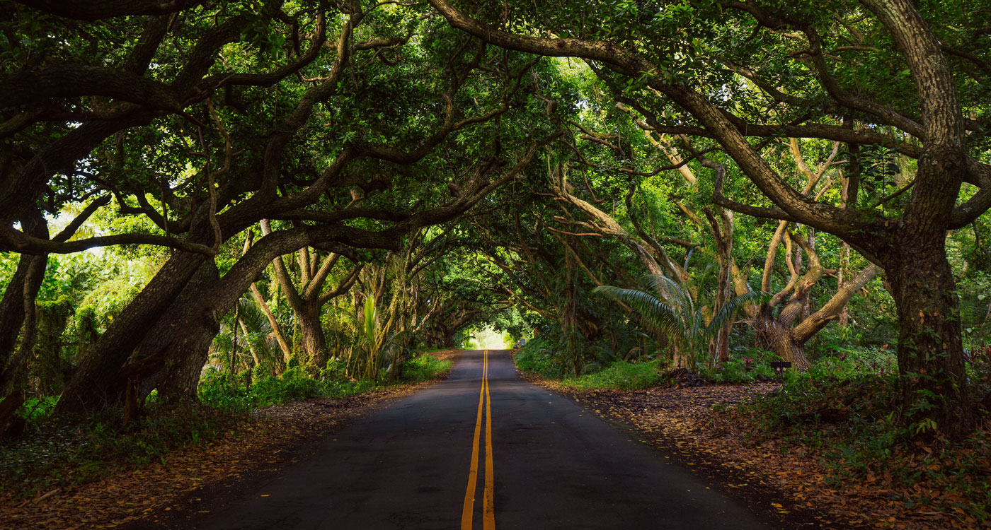 Road to Hana Roadtrip auf Maui Hawaii, Sehenswürdigkeit