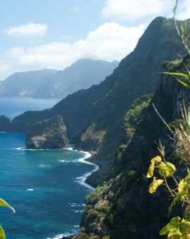 Madeira Guide: Alles, was du für deinen Urlaub wissen musst