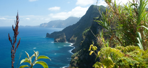 Madeira Guide: Alles, was du für deinen Urlaub wissen musst