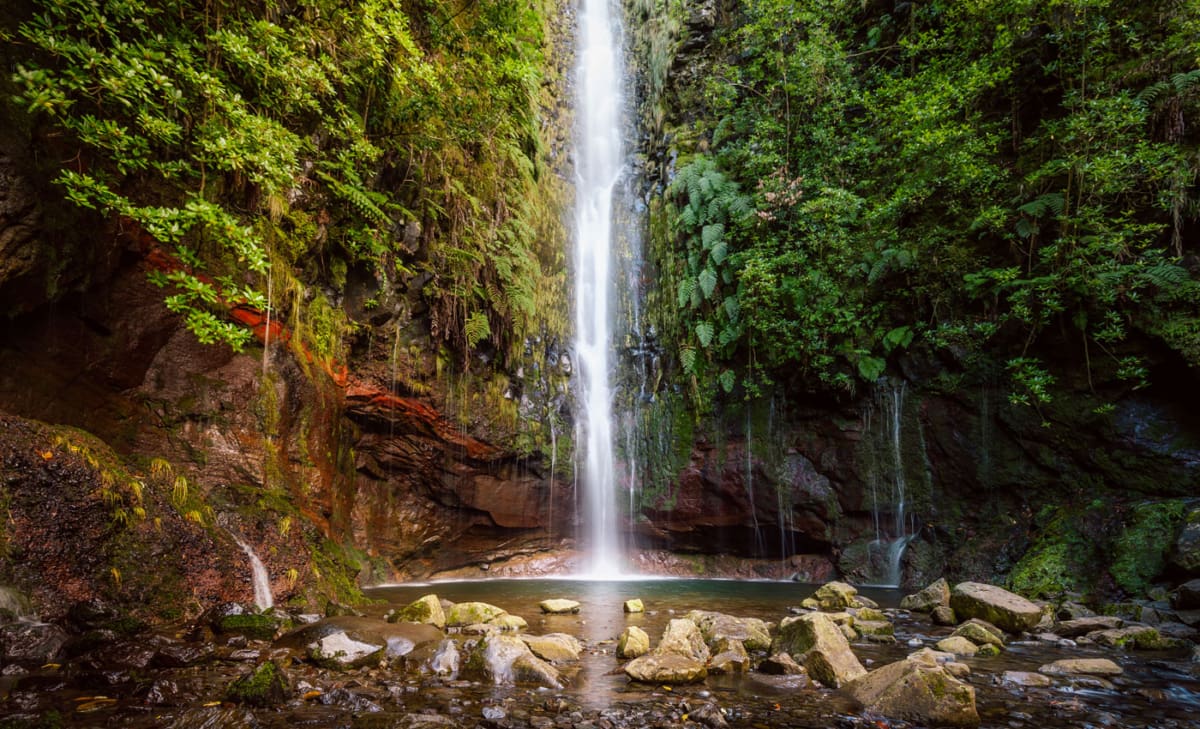 Lavadas Fontanas Wandern Madeira