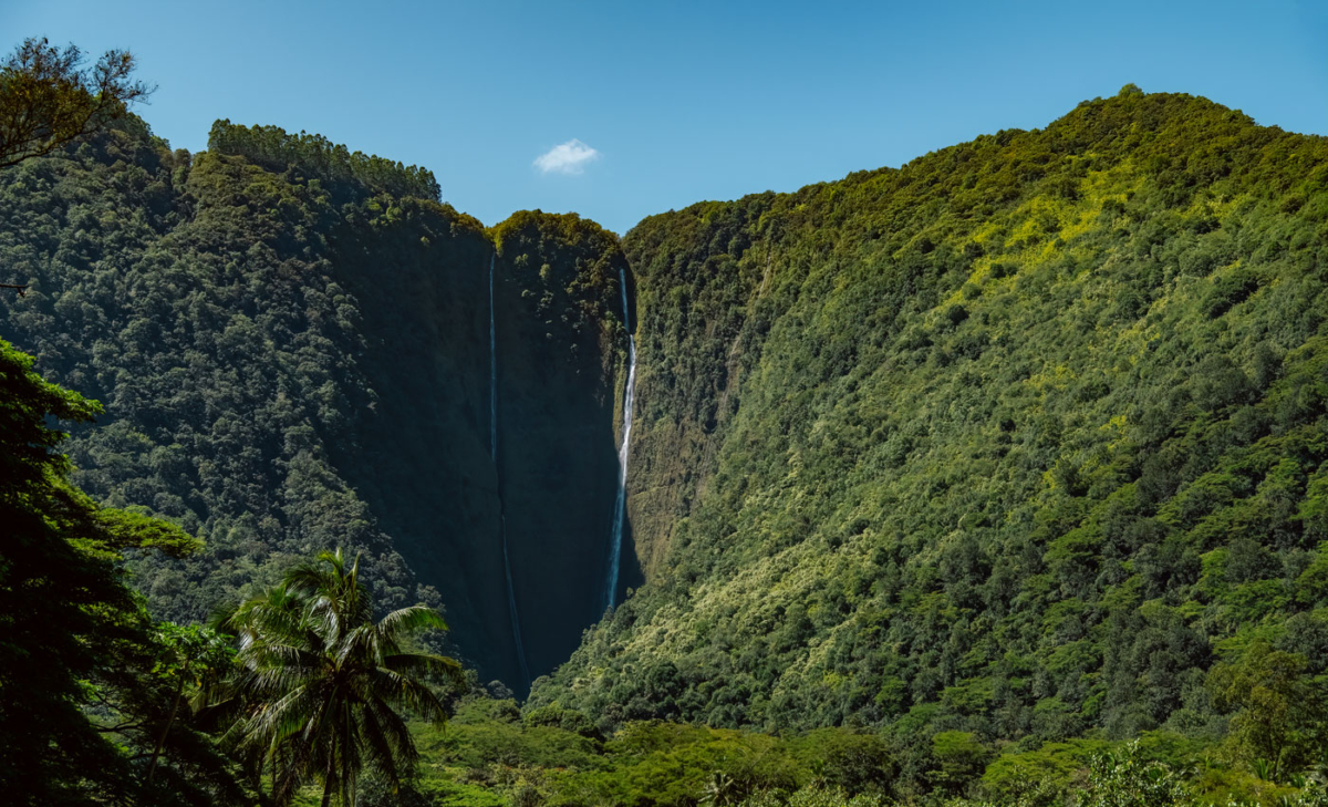 Waipi’o Valley Big Island of Hawaii