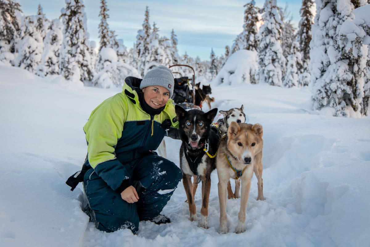 Husky-Tour Lappland (Finnland) Erfahrunsbericht mit Tipps