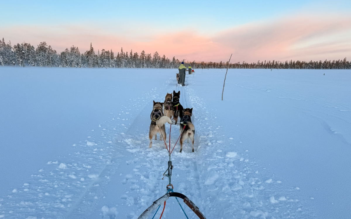 Rosaroter Himmel am Morgen in Lappland