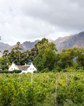 Franschhoek Weingüter und Highlights (Winelands Südafrika)