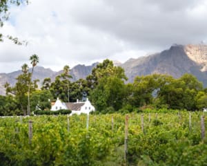 Franschhoek Weingüter und Highlights (Winelands Südafrika)