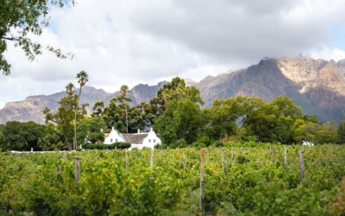 Das Beste von Franschhoek: Highlights und Weingüter, die du nicht verpassen darfst