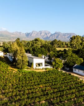 Temple Wines Paarl Winelands Südafrika