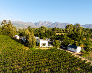 Temple Wines Paarl Winelands Südafrika