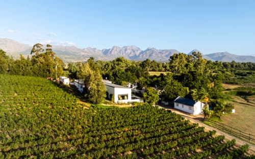 Paarl in Südafrika: Warum die Weinregion ein Geheimtipp ist