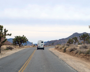 Joshua Tree National Park Kalifornien mit Camper