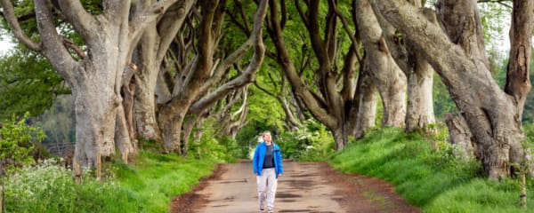 Dark Hedges Nordirland