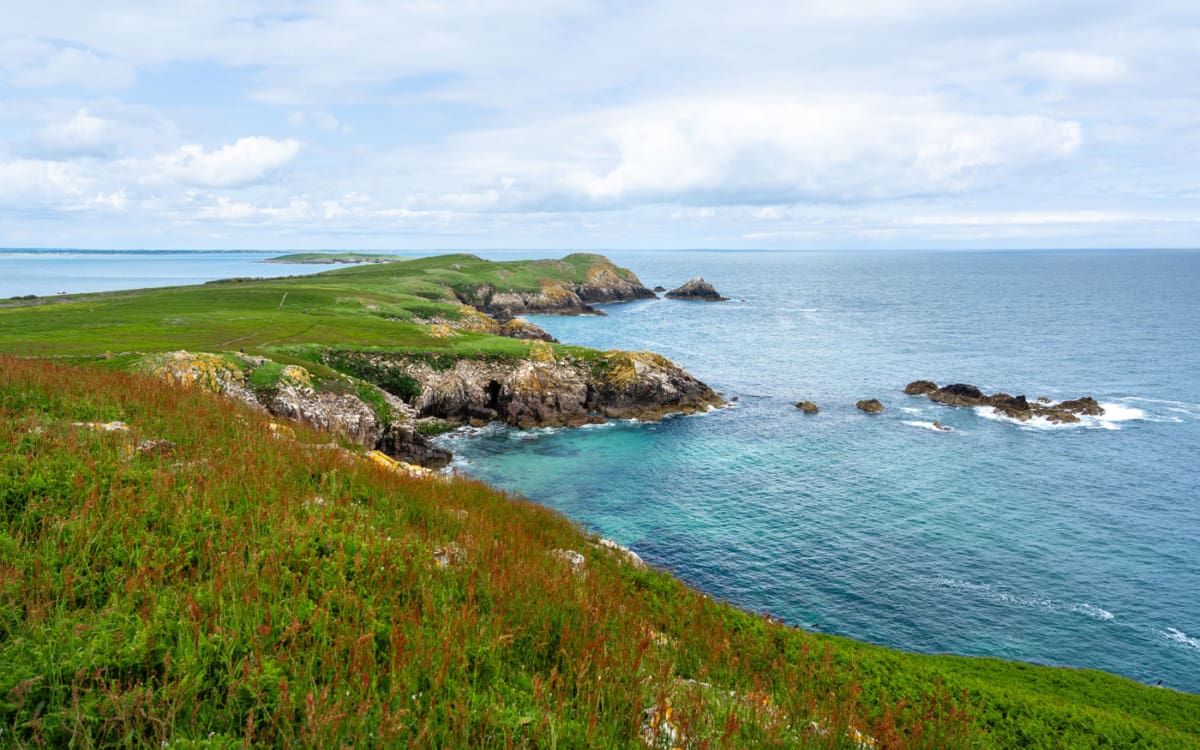 Greater Saltee Islands in Irland