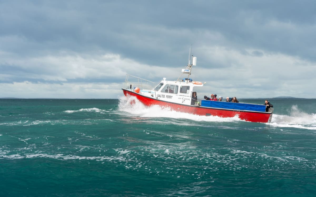 Saltee Ferry nach Saltee Island